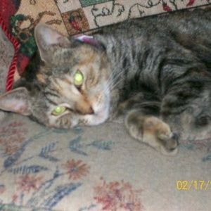 Meet your Posher, Stefania fratini-garrant